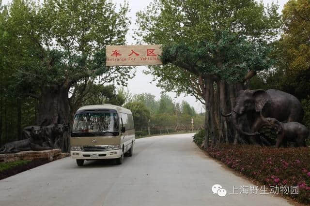 一位野生动物园忠实粉丝的雨天完美攻略