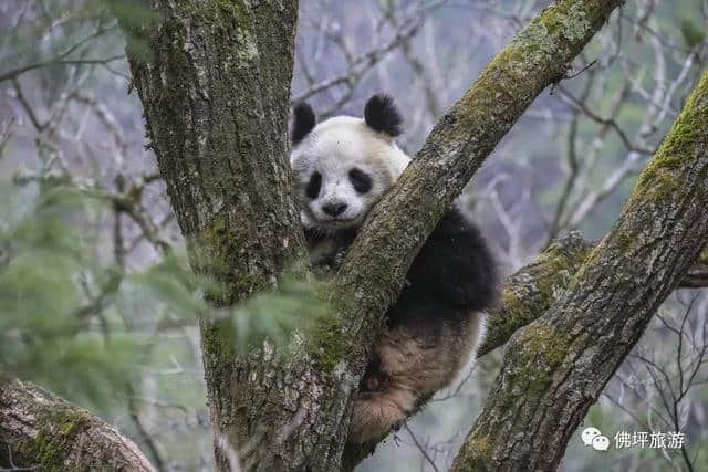 汉中人拿好这份春游攻略！