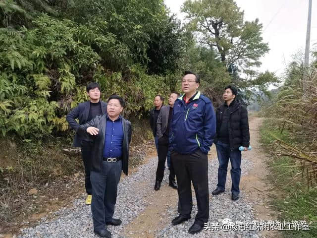 这样做休闲农业和乡村旅游规划才能落地，保证不走弯路！