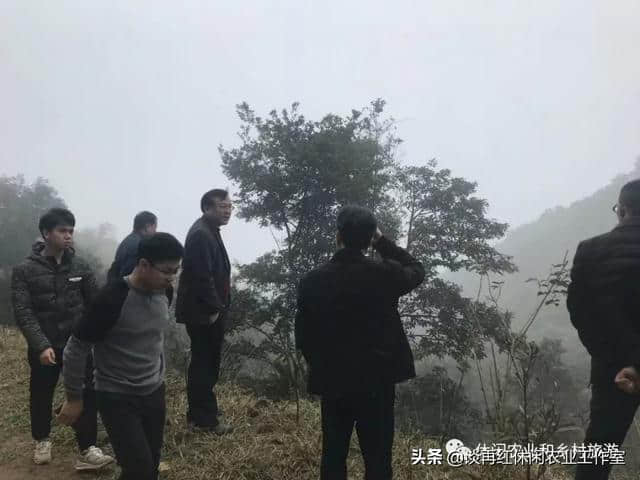 这样做休闲农业和乡村旅游规划才能落地，保证不走弯路！