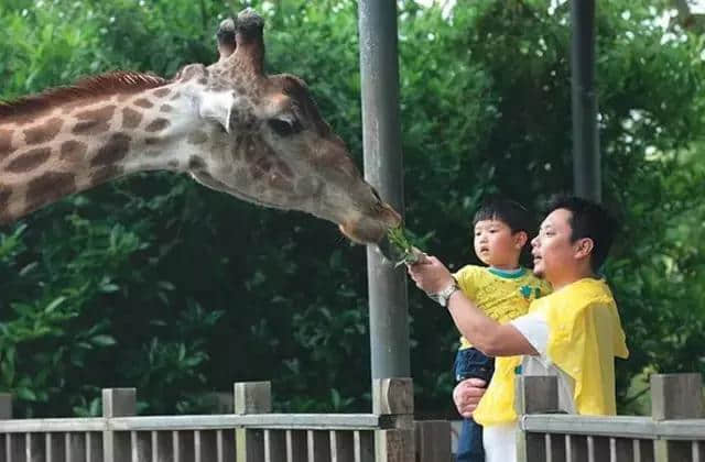 上海野生动物园、欢乐谷等75家上海最好的景点半价or免费啦！