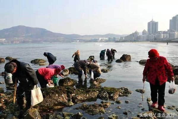 旅游、定居哪里好？这个地方适合您