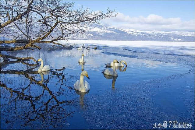 旅游、定居哪里好？这个地方适合您