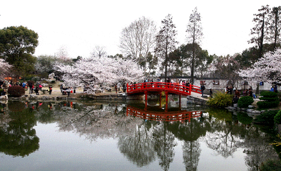 武汉旅游攻略：3天时间整理的武汉最值得去的6个景点，值得收藏！