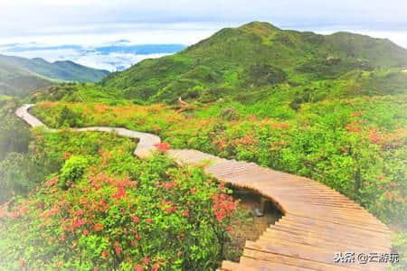 长沙十大景点排名榜，盘点长沙市一日游必去景点