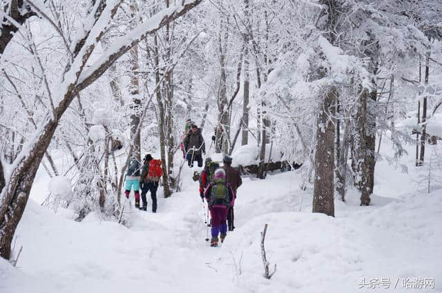 雪乡最新旅游攻略 满满的干货