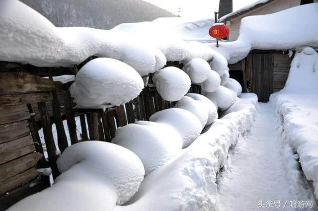 雪乡最新旅游攻略 满满的干货