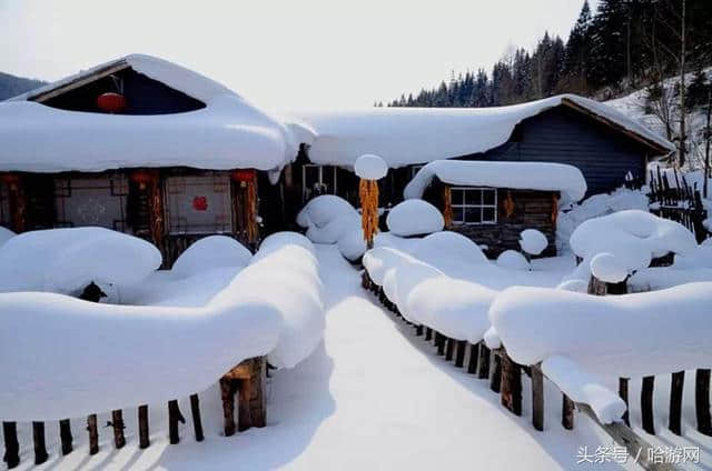 雪乡最新旅游攻略 满满的干货