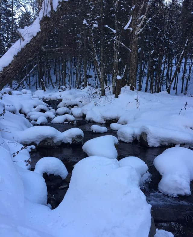 雪乡景区即将开放，今年你打算去雪乡旅游吗？