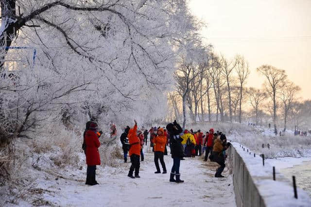 雪乡景区即将开放，今年你打算去雪乡旅游吗？