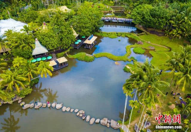 航拍海南保亭呀诺达热带雨林