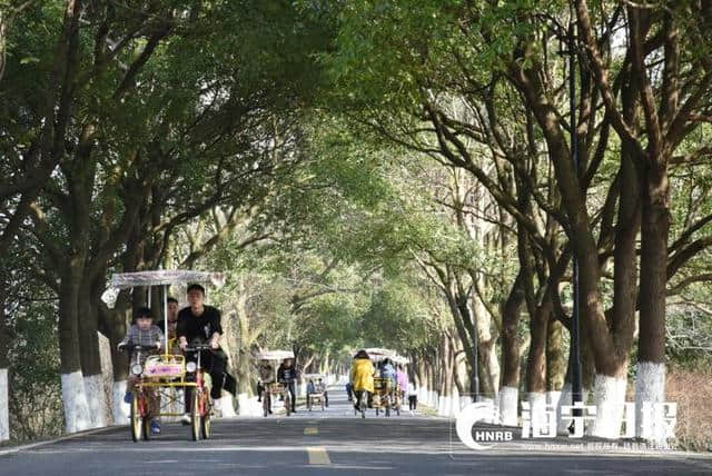 接待游客超40万！春节海宁旅游市场火爆，实现收入4.32亿元！