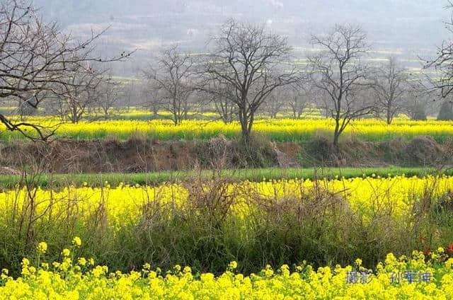 许昌旅游山水之间、油菜花海、文旅小镇，去山头店邂逅最美的春天