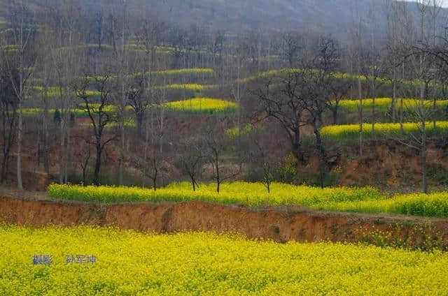 许昌旅游山水之间、油菜花海、文旅小镇，去山头店邂逅最美的春天