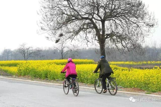 许昌旅游山水之间、油菜花海、文旅小镇，去山头店邂逅最美的春天