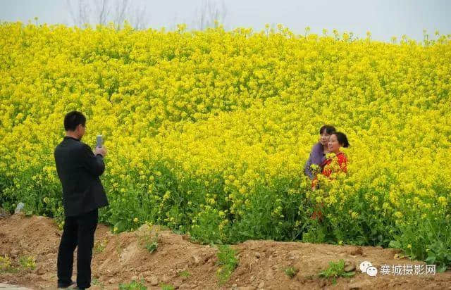 许昌旅游山水之间、油菜花海、文旅小镇，去山头店邂逅最美的春天