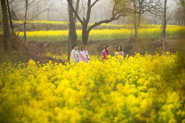 许昌旅游山水之间、油菜花海、文旅小镇，去山头店邂逅最美的春天