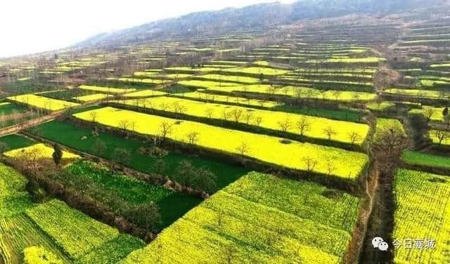 许昌旅游山水之间、油菜花海、文旅小镇，去山头店邂逅最美的春天