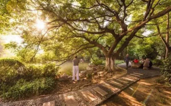 常州最全度夏旅游攻略来了，盛夏的日子就该这么玩