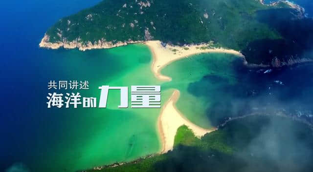 生而浩瀚——《对世界说》为您讲述海洋的力量