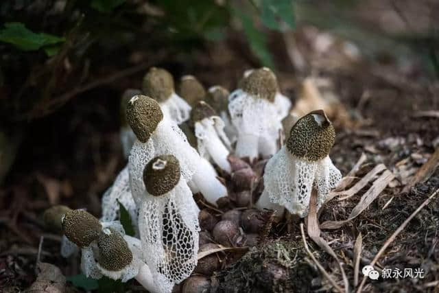 水尾旅游——地方特产篇