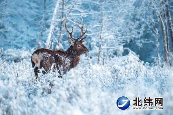 天全县二郎山冰雪节本月24日启幕