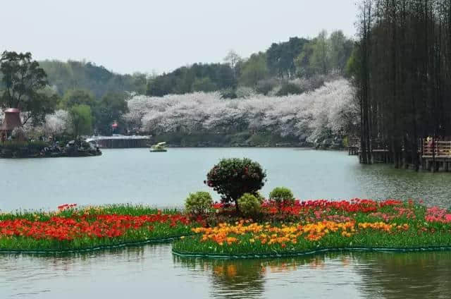 这是一篇给湖南长沙当地人的旅游攻略，外地人不要看