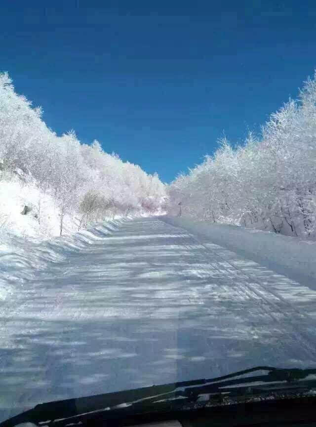 到哈尔滨雪乡游玩最省钱的旅游攻略，一定要看