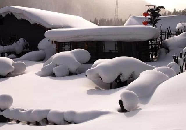 到哈尔滨雪乡游玩最省钱的旅游攻略，一定要看