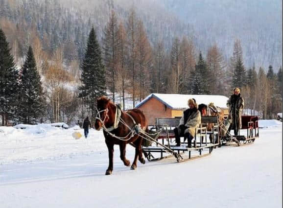 到哈尔滨雪乡游玩最省钱的旅游攻略，一定要看