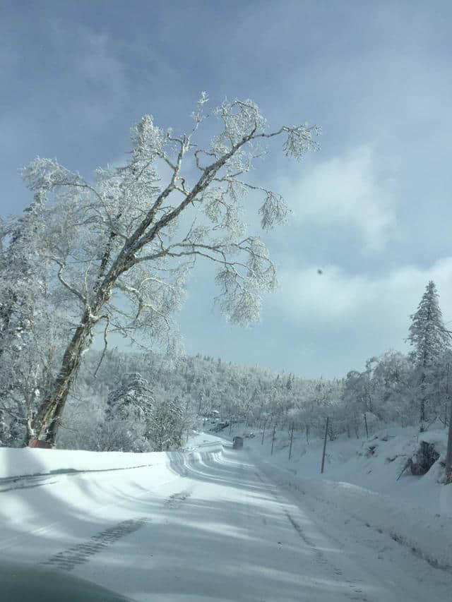 到哈尔滨雪乡游玩最省钱的旅游攻略，一定要看