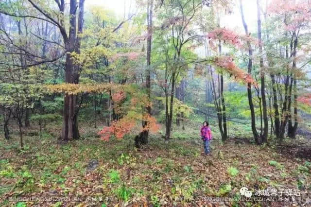 有一个游山玩水的休闲乐园，叫亚布力锅盔山