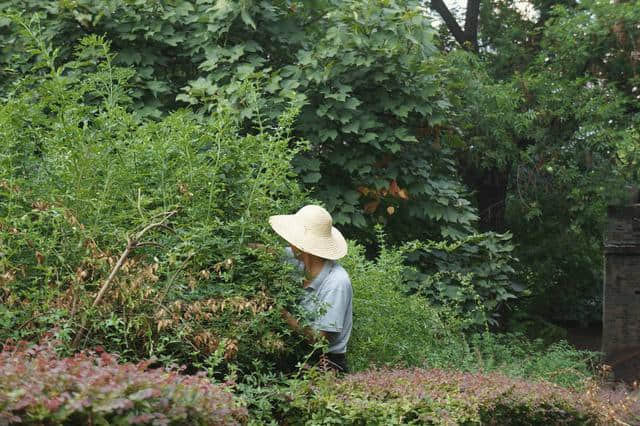 亲历“一日游”，长沙人打死都不会去做的事