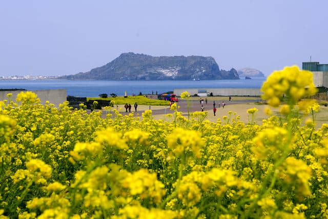 旅游：韩国济州岛