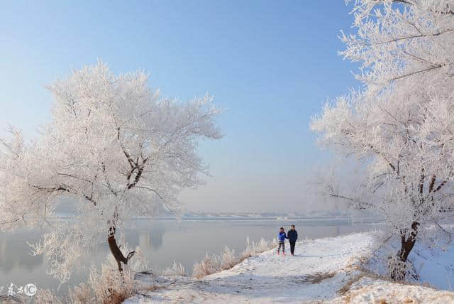 亚布力与雪乡旅游乱象给全国景区敲响警钟——勿忘初衷，回归质朴