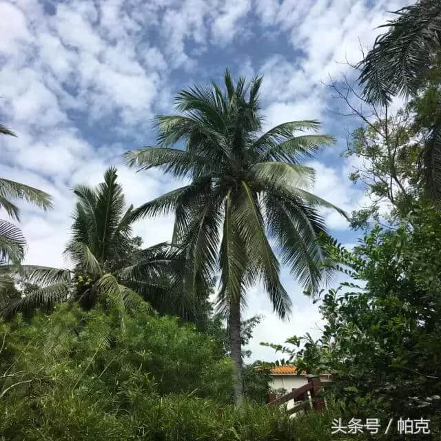 做一名旅行体验师是怎样的体验？