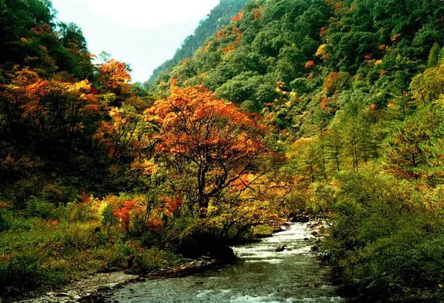 雅安旅游景点大全