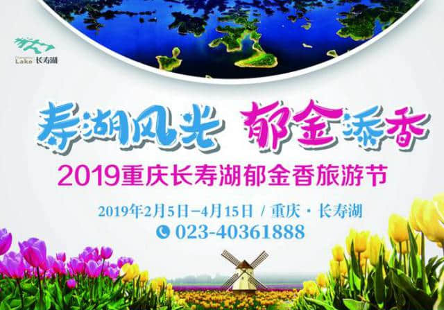 2019长寿湖郁金香旅游节即将开幕 百万余株郁金香等你来赏！