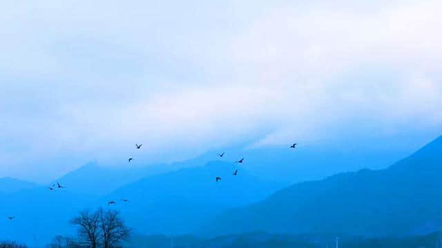 旅行体验师招募 | 你的旅行，我承包了