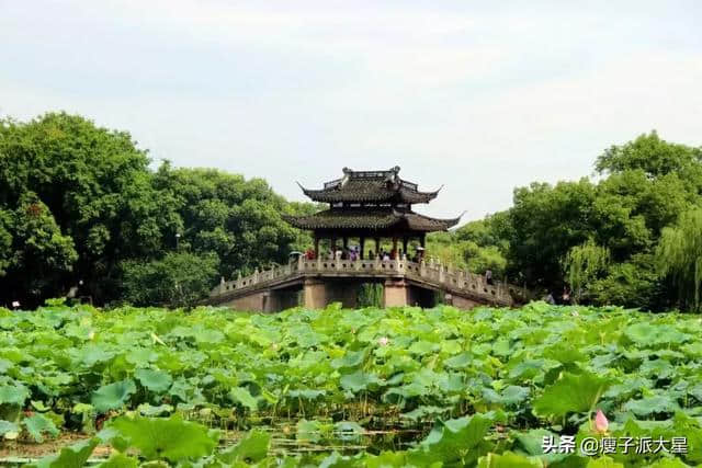 上海周边游，我推荐这几个地方！好看好玩又好吃