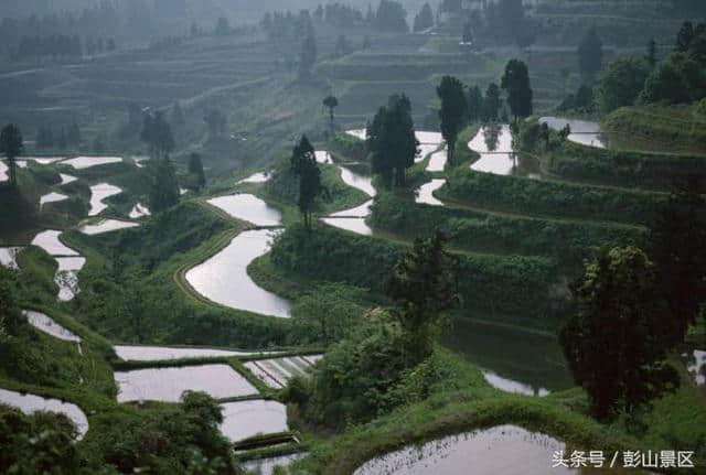 乡村休闲旅游的未来发展趋势