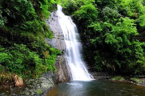 上海周边那些绝美风景，踏青不能错过！