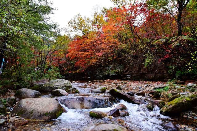 十一黄金假期旅游景点之长白山