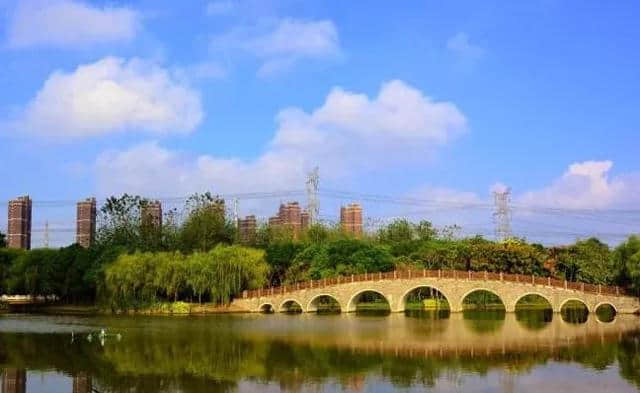 这条线路跨越上海7大区，一路藏着那么多美景！