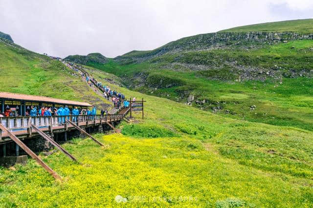 去长白山旅游，选择了西坡景区，没想到竟这么美