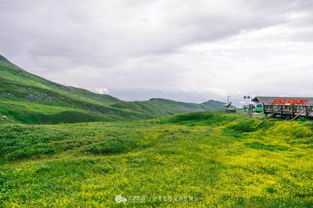 去长白山旅游，选择了西坡景区，没想到竟这么美