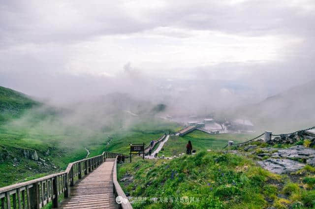 去长白山旅游，选择了西坡景区，没想到竟这么美