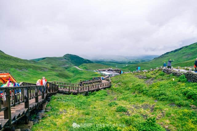 去长白山旅游，选择了西坡景区，没想到竟这么美