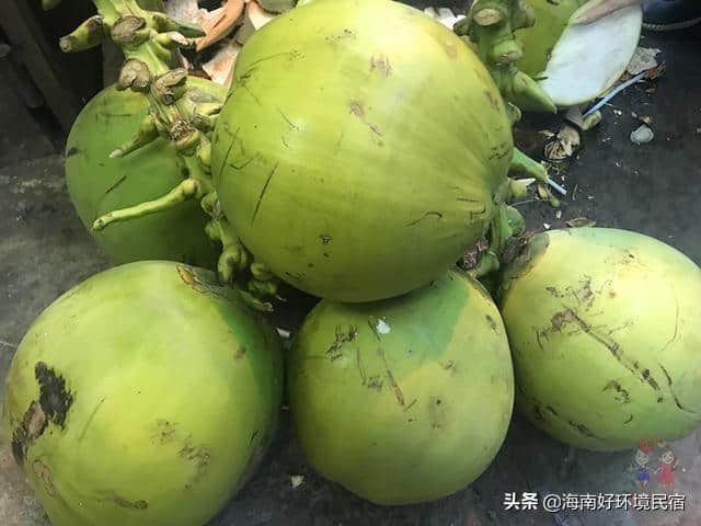 海南岛避暑圣地—博鳌风情小镇