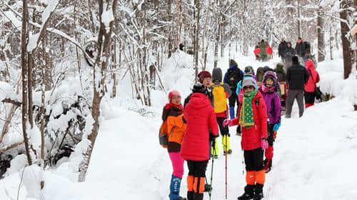 冬季来东北玩：雪乡、长白山、雾凇岛如何选择旅游线路和线路规划